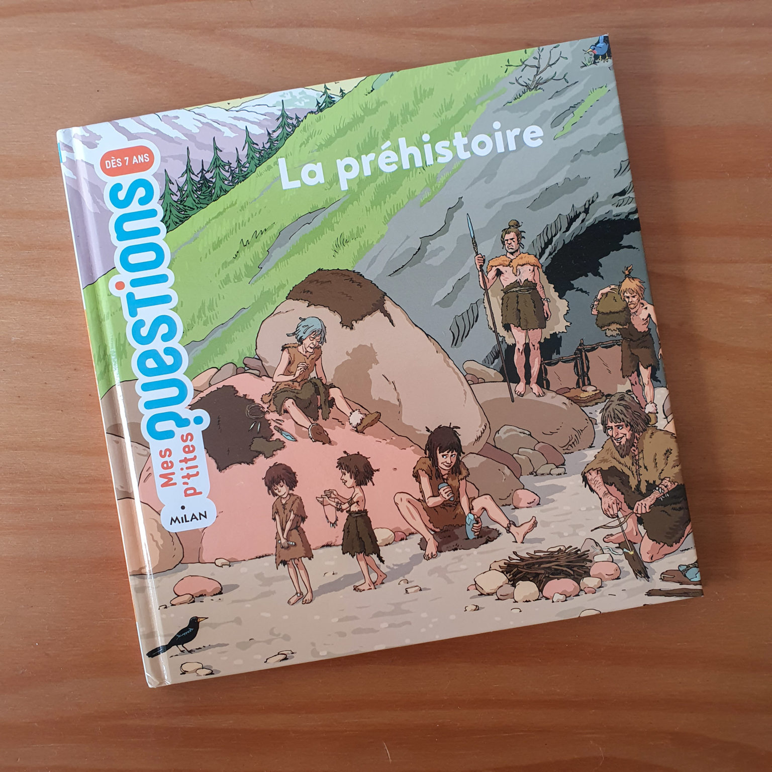 A La D Couverte De La Pr Histoire Activit S Et Lectures La Caverne